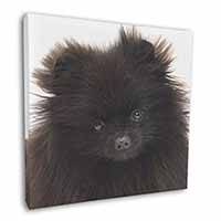 Black Pomeranian Dog Square Canvas 12"x12" Wall Art Picture Print