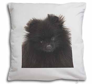 Black Pomeranian Dog Soft White Velvet Feel Scatter Cushion