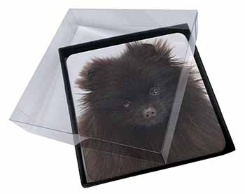 4x Black Pomeranian Dog Picture Table Coasters Set in Gift Box