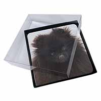 4x Black Pomeranian Dog Picture Table Coasters Set in Gift Box