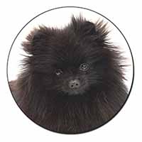 Black Pomeranian Dog Fridge Magnet Printed Full Colour