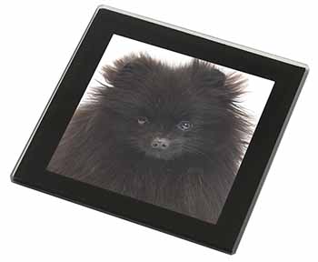 Black Pomeranian Dog Black Rim High Quality Glass Coaster