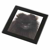 Black Pomeranian Dog Black Rim High Quality Glass Coaster