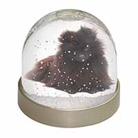 Black Pomeranian Dog Snow Globe Photo Waterball