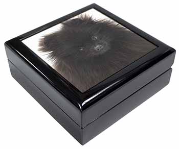 Black Pomeranian Dog Keepsake/Jewellery Box