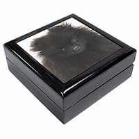 Black Pomeranian Dog Keepsake/Jewellery Box - Advanta Group®