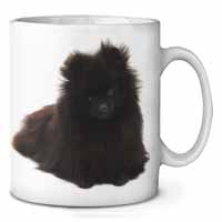 Black Pomeranian Dog Ceramic 10oz Coffee Mug/Tea Cup Printed Full Colour - Advanta Group®