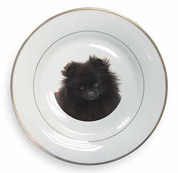 Black Pomeranian Dog Gold Rim Plate Printed Full Colour in Gift Box