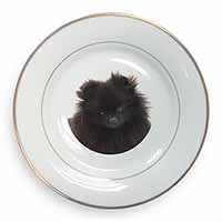 Black Pomeranian Dog Gold Rim Plate Printed Full Colour in Gift Box