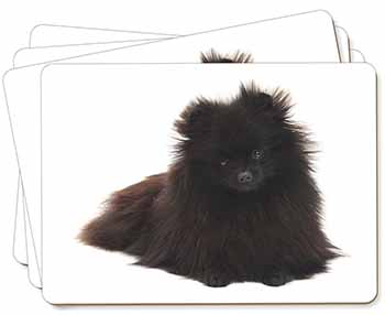 Black Pomeranian Dog Picture Placemats in Gift Box