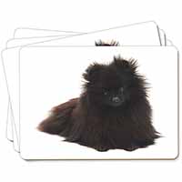 Black Pomeranian Dog Picture Placemats in Gift Box