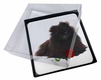 4x Pomeranian Dog with Red Rose Picture Table Coasters Set in Gift Box