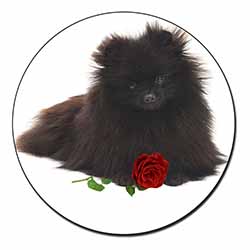 Pomeranian Dog with Red Rose Fridge Magnet Printed Full Colour