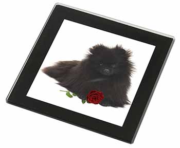 Pomeranian Dog with Red Rose Black Rim High Quality Glass Coaster