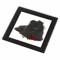 Pomeranian Dog with Red Rose Black Rim High Quality Glass Coaster