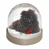 Pomeranian Dog with Red Rose Snow Globe Photo Waterball