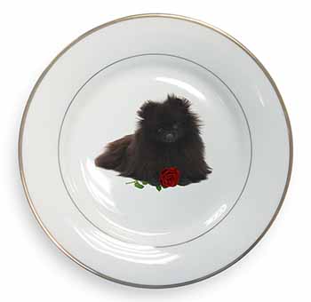 Pomeranian Dog with Red Rose Gold Rim Plate Printed Full Colour in Gift Box