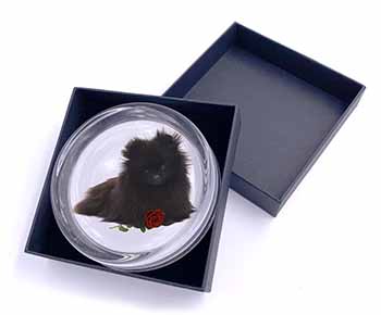 Pomeranian Dog with Red Rose Glass Paperweight in Gift Box