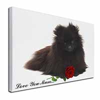 Pomeranian Dog+Rose 