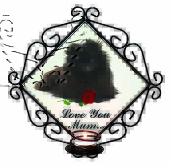 Pomeranian Dog+Rose 