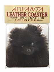 Black Pomeranian Dog Single Leather Photo Coaster