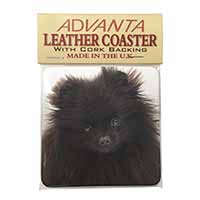Black Pomeranian Dog Single Leather Photo Coaster