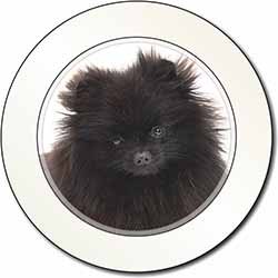 Black Pomeranian Dog Car or Van Permit Holder/Tax Disc Holder
