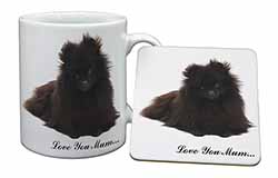 Pomeranian Dog 
