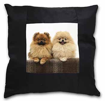 Pomeranian Dogs Black Satin Feel Scatter Cushion
