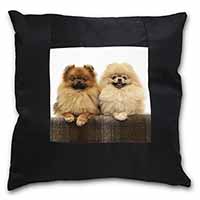 Pomeranian Dogs Black Satin Feel Scatter Cushion