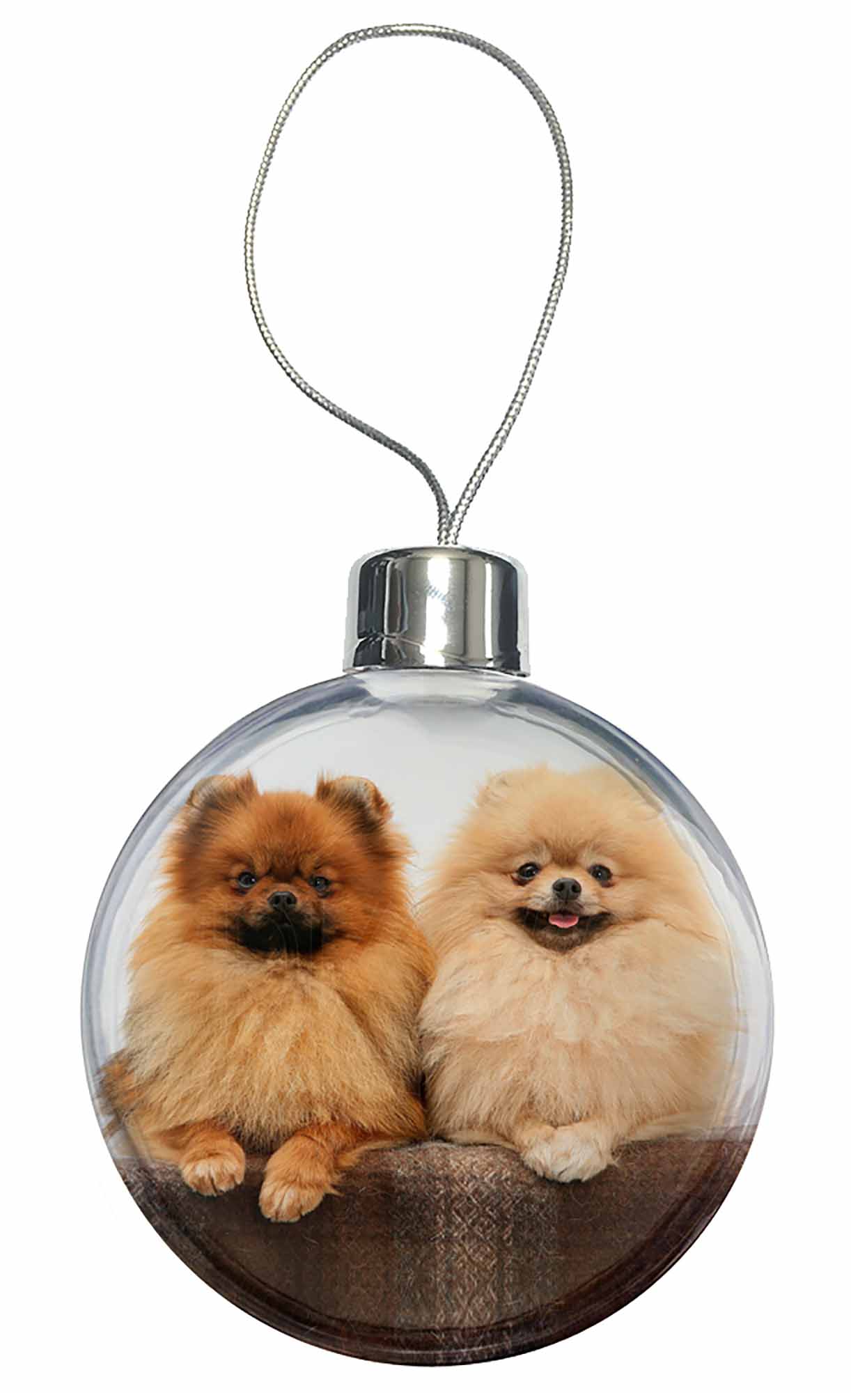 pomeranian gifts uk pomeranian dogs tree bauble decoration gift ad pomeranian gifts uk pomeranian dogs tree bauble decoration gift ad