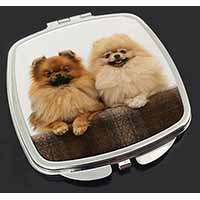 Pomeranian Dogs Make-Up Compact Mirror