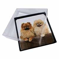 4x Pomeranian Dogs Picture Table Coasters Set in Gift Box