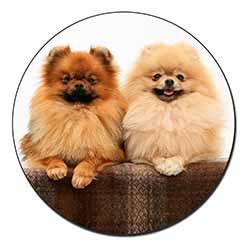 Pomeranian Dogs Fridge Magnet Printed Full Colour