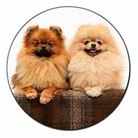 Pomeranian Dogs Fridge Magnet Printed Full Colour