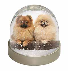 Pomeranian Dogs Snow Globe Photo Waterball