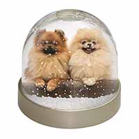 Pomeranian Dogs Snow Globe Photo Waterball