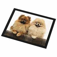 Pomeranian Dogs Black Rim High Quality Glass Placemat