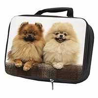 Pomeranian Dogs Black Insulated School Lunch Box/Picnic Bag