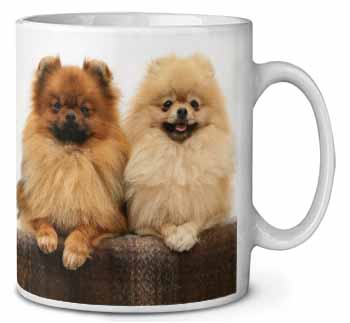 Pomeranian Dogs Ceramic 10oz Coffee Mug/Tea Cup