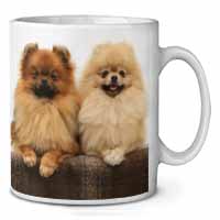 Pomeranian Dogs Ceramic 10oz Coffee Mug/Tea Cup