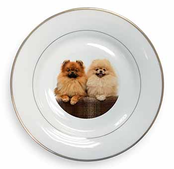 Pomeranian Dogs Gold Rim Plate Printed Full Colour in Gift Box