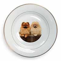 Pomeranian Dogs Gold Rim Plate Printed Full Colour in Gift Box