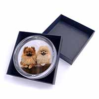 Pomeranian Dogs Glass Paperweight in Gift Box