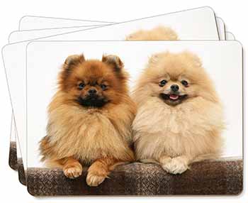 Pomeranian Dogs Picture Placemats in Gift Box