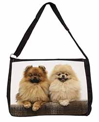 Pomeranian Dogs Large Black Laptop Shoulder Bag School/College