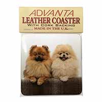 Pomeranian Dogs Single Leather Photo Coaster