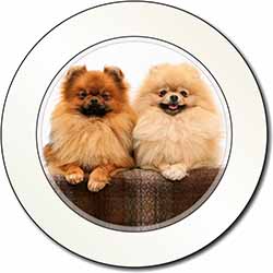 Pomeranian Dogs Car or Van Permit Holder/Tax Disc Holder