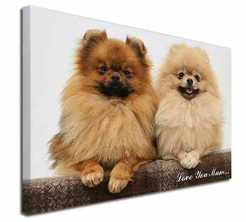 Pomeranian Dogs 