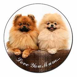 Pomeranian Dogs 